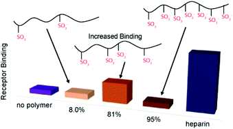 Graphical abstract: Structure activity relationship of heparin mimicking polymer p(SS-co-PEGMA): effect of sulfonation and polymer size on FGF2-receptor binding