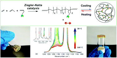 Graphical abstract: Thermoreversible cross-linking of ethylene/propylene copolymer rubbers