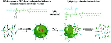 Graphical abstract: Synthesis of a phenylboronic ester-linked PEG-lipid conjugate for ROS-responsive drug delivery