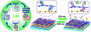 Graphical abstract: Visible-light-responsive polymeric multilayers for trapping and release of cargoes via host–guest interactions