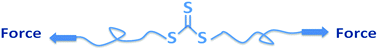 Graphical abstract: Force-induced cleavage of a labile bond for enhanced mechanochemical crosslinking