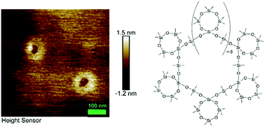 Graphical abstract: High molecular weight cyclic polysiloxanes from organocatalytic zwitterionic polymerization of constrained spirocyclosiloxanes