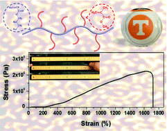 Graphical abstract: All-acrylic superelastomers: facile synthesis and exceptional mechanical behavior