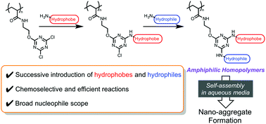Graphical abstract: Modular and rapid access to amphiphilic homopolymers via successive chemoselective post-polymerization modification