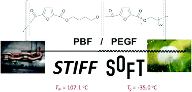 Graphical abstract: Tailored design of renewable copolymers based on poly(1,4-butylene 2,5-furandicarboxylate) and poly(ethylene glycol) with refined thermal properties