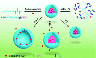 Graphical abstract: Diazonaphthoquinone-based amphiphilic polymer assemblies for NIR/UV light- and pH-responsive controlled release