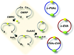 Graphical abstract: Ethylene/vinyl acetate-based macrocycles via organometallic-mediated radical polymerization and CuAAC ‘click’ reaction
