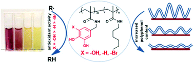 Graphical abstract: A family of linear phenolic polymers with controlled hydrophobicity, adsorption and antioxidant properties
