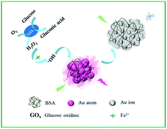 Graphical abstract: Sensing of hydrogen peroxide and glucose in human serum via quenching fluorescence of biomolecule-stabilized Au nanoclusters assisted by the Fenton reaction