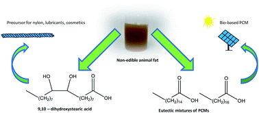 Graphical abstract: Fatty acid eutectic mixtures and derivatives from non-edible animal fat as phase change materials