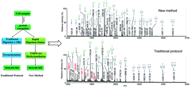 Graphical abstract: A facile method for cellular N-glycomic profiling by matrix-assisted laser desorption/ionization mass spectrometry
