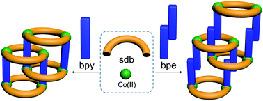 Graphical abstract: Synthesis, structures and magnetic properties of isoreticular polyrotaxane-type two-dimensional coordination polymers