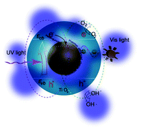 Graphical abstract: In situ coupling of Ti2O with rutile TiO2 as a core–shell structure and its photocatalysis performance