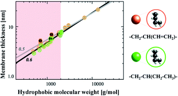 Graphical abstract: Chemically specific coarse-grained models to investigate the structure of biomimetic membranes