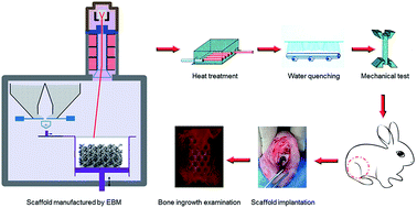 Graphical abstract: Heat treatment effect on the mechanical properties, roughness and bone ingrowth capacity of 3D printing porous titanium alloy