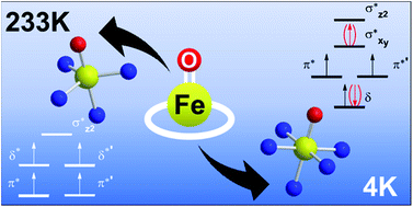 Graphical abstract: Structure and spin state of nonheme FeIVO complexes depending on temperature: predictive insights from DFT calculations and experiments