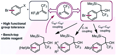 Graphical abstract: Rapid access to diverse, trifluoromethyl-substituted alkenes using complementary strategies