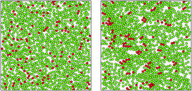 Graphical abstract: Cooperative behavior of biased probes in crowded interacting systems