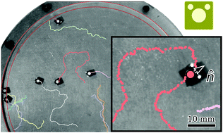 Graphical abstract: Noise and diffusion of a vibrated self-propelled granular particle