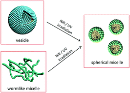 Graphical abstract: UV and NIR dual-responsive self-assembly systems based on a novel coumarin derivative surfactant