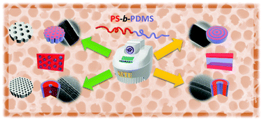 Graphical abstract: Microwave-annealing-induced nanowetting of block copolymers in cylindrical nanopores