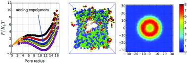 Graphical abstract: Formation and stabilization of pores in bilayer membranes by peptide-like amphiphilic polymers