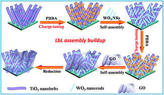 Graphical abstract: Modulation of interfacial charge transfer by self-assembly of single-layer graphene enwrapped one-dimensional semiconductors toward photoredox catalysis