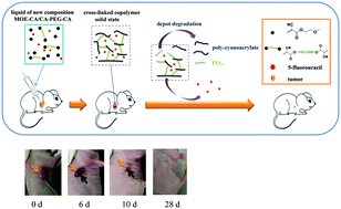 Graphical abstract: Sustained drug release and cancer treatment by an injectable and biodegradable cyanoacrylate-based local drug delivery system