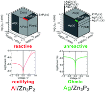 Graphical abstract: Thermodynamic considerations on interfacial reactivity concerning carrier transport characteristics in metal/p-Zn3P2 junctions