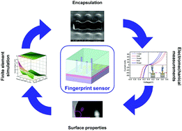 Graphical abstract: Design of UV-crosslinked polymeric thin layers for encapsulation of piezoelectric ZnO nanowires for pressure-based fingerprint sensors