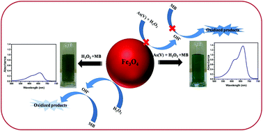 Graphical abstract: Novel, sensitive and selective colorimetric detection of arsenate in aqueous solution by a Fenton-like reaction of Fe3O4 nanoparticles