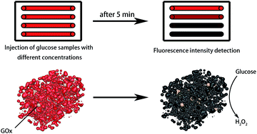 Graphical abstract: Visual detection of glucose based on quantum dots aerogel in microfluidic chips