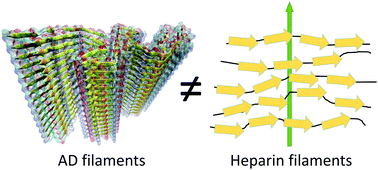 Graphical abstract: Heparin-induced tau filaments are structurally heterogeneous and differ from Alzheimer's disease filaments