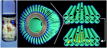Graphical abstract: Retracted Article: PEG-nanotube liquid crystals as templates for construction of surfactant-free gold nanorods