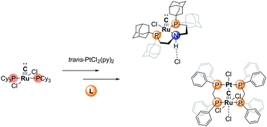 Graphical abstract: Synthons for carbide complex chemistry