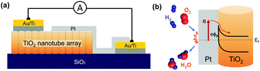 Graphical abstract: Enhancing hot electron collection with nanotube-based three-dimensional catalytic nanodiode under hydrogen oxidation