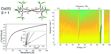Graphical abstract: Square-planar Co(iii) in {O4} coordination: large ZFS and reactivity with ROS