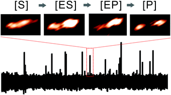Graphical abstract: Real-time tracking of single-molecule collagenase on native collagen and partially structured collagen-mimic substrates