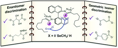 Graphical abstract: Chiral halogen and chalcogen bonding receptors for discrimination of stereo- and geometric dicarboxylate isomers in aqueous media