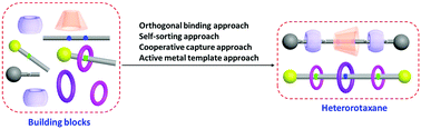 Graphical abstract: Heterorotaxanes