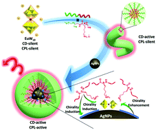 Graphical abstract: Surface plasmon resonance-assisted circularly polarized luminescent hybrid assemblies of Eu-containing polyoxometalates