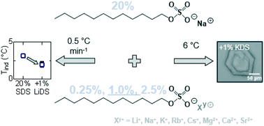Graphical abstract: Crystallisation of sodium dodecyl sulfate–water micellar solutions with structurally similar additives: counterion variation