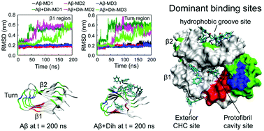 Graphical abstract: Dihydrochalcone molecules destabilize Alzheimer's amyloid-β protofibrils through binding to the protofibril cavity