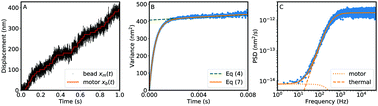 Graphical abstract: Kinetic analysis methods applied to single motor protein trajectories