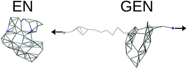 Graphical abstract: Generalization of the elastic network model for the study of large conformational changes in biomolecules