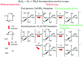 Graphical abstract: Theoretical investigations on hydrogen peroxide decomposition in aquo
