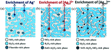 Graphical abstract: Phase separation strategy to facilely form fluorescent [Ag2]2+/[Agm]n+ quantum clusters in boro-alumino-silicate multiphase glasses