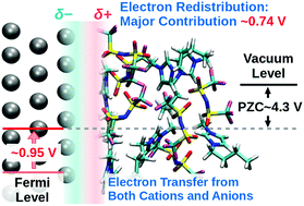 Graphical abstract: The crucial role of electron transfer from interfacial molecules in the negative potential shift of Au electrode immersed in ionic liquids