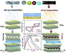 Graphical abstract: Interrogating the effects of ion-implantation-induced defects on the energy storage properties of bulk molybdenum disulphide