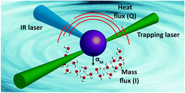 Graphical abstract: Assessing relative humidity dependent photoacoustics to retrieve mass accommodation coefficients of single optically trapped aerosol particles